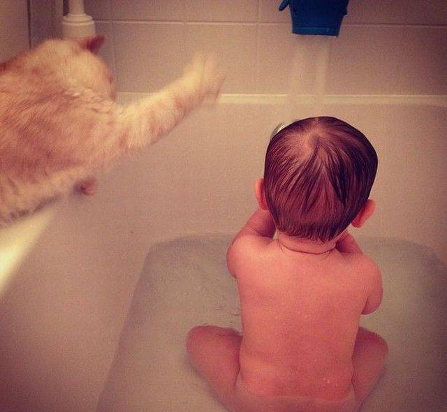 daily picdump 80 pics 33.html - 80 HD Photos | Premium Gallery 2016