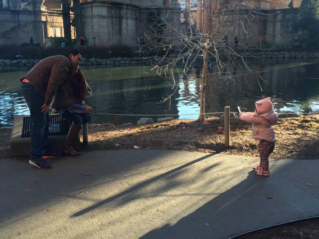 daily picdump 80 pics 33.html - 80 HD Photos | Premium Gallery 2016