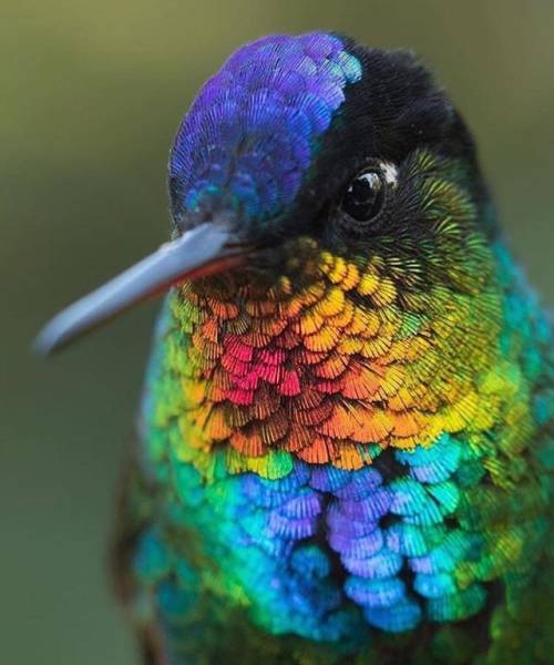 daily picdump 80 pics 33.html - 80 HD Photos | Premium Gallery 2016