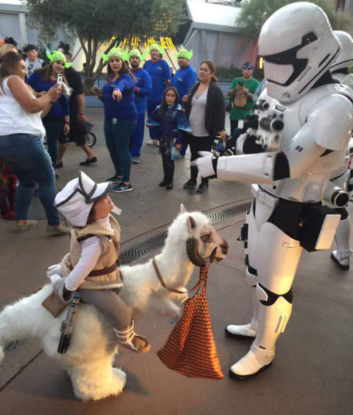 morning picdump 54 pics 7.html - 54 HD Photos | Premium Gallery 2016