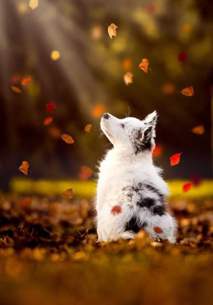 morning picdump 54 pics 7.html - 54 HD Photos | Premium Gallery 2016