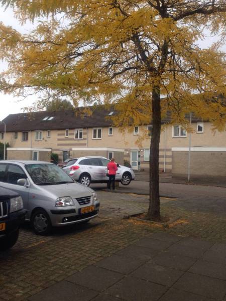 daily picdump 82 pics 38.html - 82 HD Photos | Premium Gallery 2016