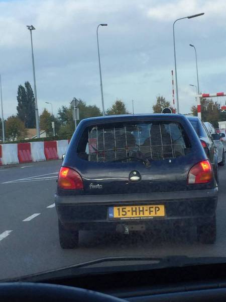 daily picdump 82 pics 38.html - 82 HD Photos | Premium Gallery 2016