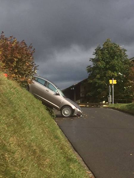 daily picdump 82 pics 38.html - 82 HD Photos | Premium Gallery 2016