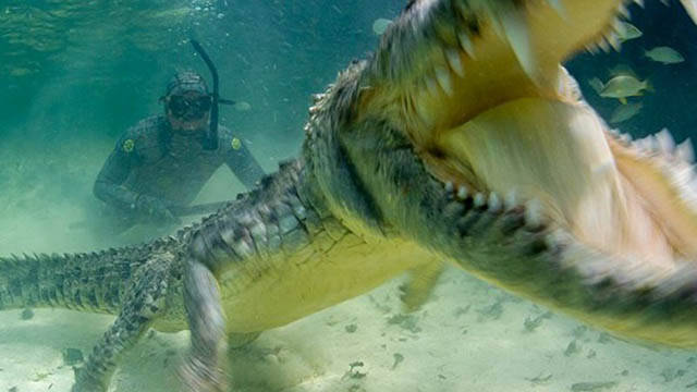 morning picdump 54 pics 6.html - 54 HD Photos | Premium Gallery 2016