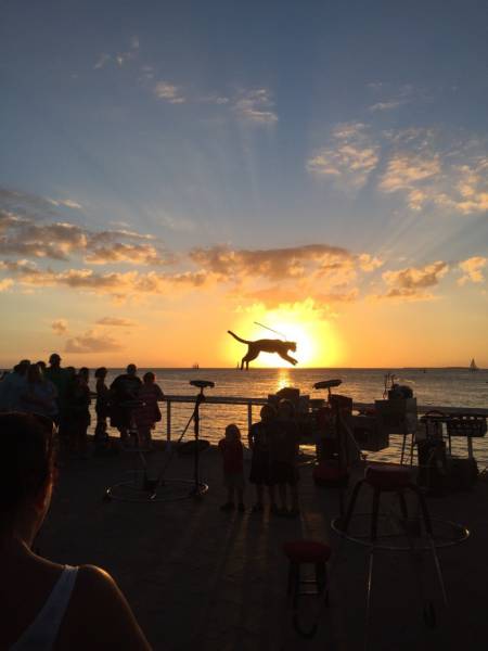 morning picdump 54 pics 6.html - 54 HD Photos | Premium Gallery 2016