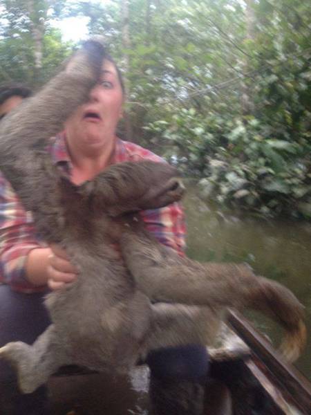 morning picdump 54 pics 6.html - 54 HD Photos | Premium Gallery 2016