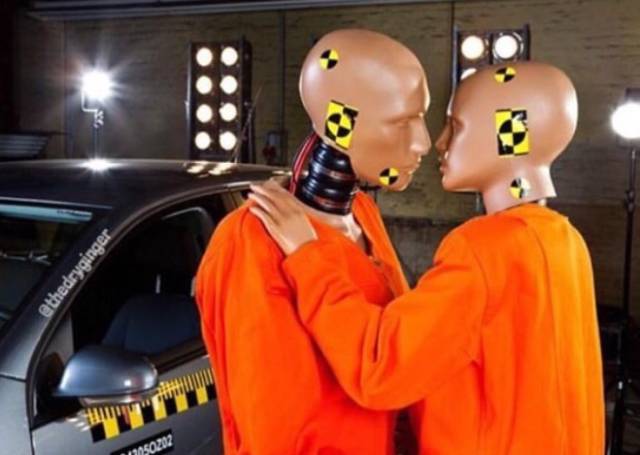 daily picdump weekend edition 54 pics 27.html - 54 HD Photos | Premium Gallery 2016