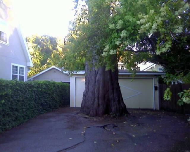 daily picdump weekend edition 54 pics 27.html - 54 HD Photos | Premium Gallery 2016