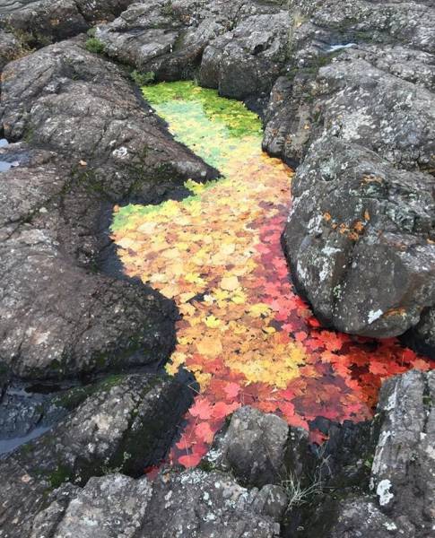 daily picdump weekend edition 54 pics 27.html - 54 HD Photos | Premium Gallery 2016