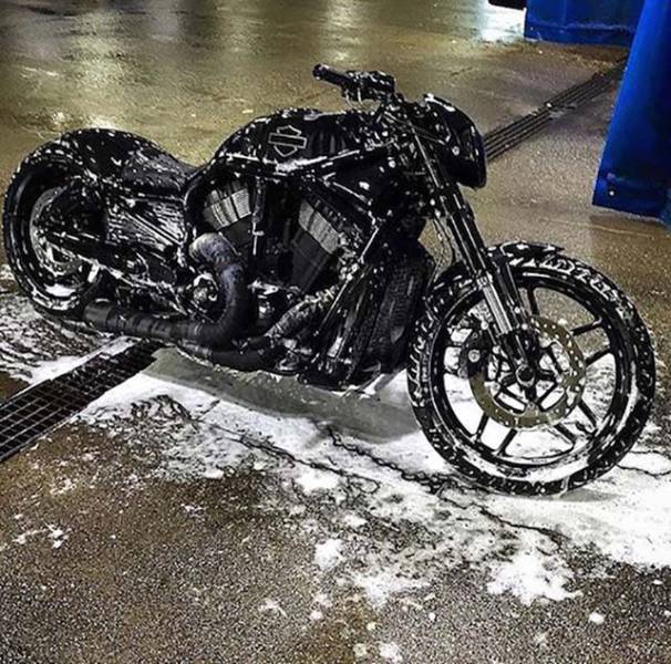 daily picdump 84 pics 35.html - 84 HD Photos | Premium Gallery 2016