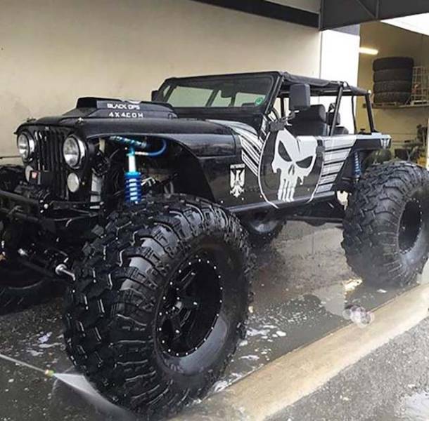 daily picdump 84 pics 35.html - 84 HD Photos | Premium Gallery 2016