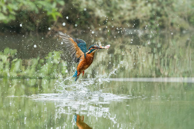 daily picdump 84 pics 35.html - 84 HD Photos | Premium Gallery 2016