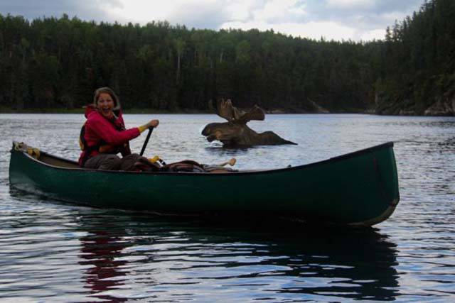 daily picdump 84 pics 35.html - 84 HD Photos | Premium Gallery 2016