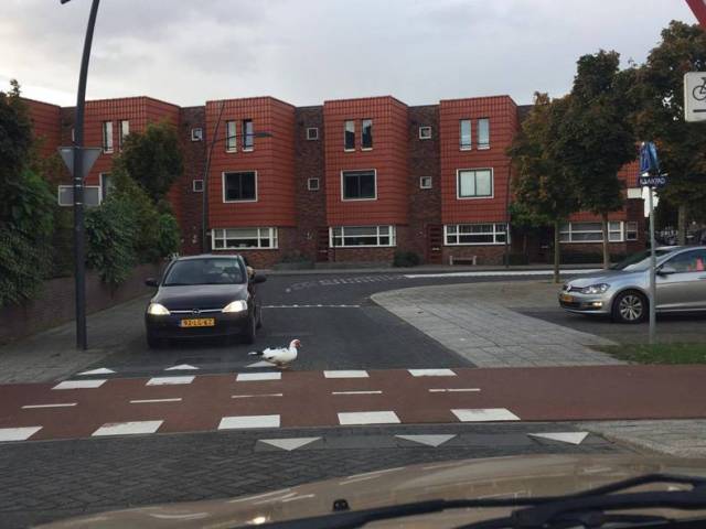 daily picdump 80 pics 38.html - 80 HD Photos | Premium Gallery 2016