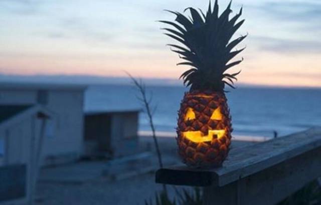 daily picdump 80 pics 38.html - 80 HD Photos | Premium Gallery 2016