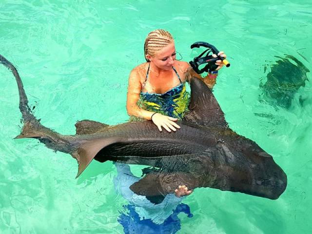 morning picdump 52 pics 17.html - 52 HD Photos | Premium Gallery 2016