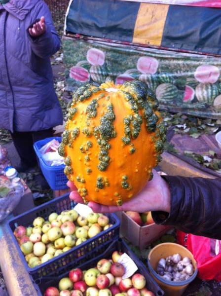 daily picdump 80 pics 2.html - 80 HD Photos | Premium Gallery 2016