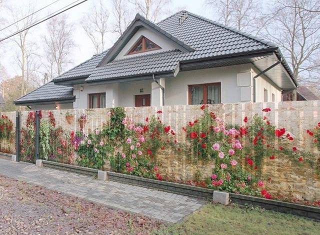 daily picdump 80 pics 2.html - 80 HD Photos | Premium Gallery 2016