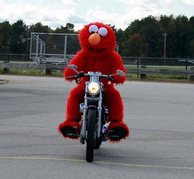 morning picdump 51 pics 5.html - 51 HD Photos | Premium Gallery 2016