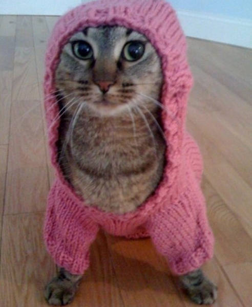 morning picdump 51 pics 5.html - 51 HD Photos | Premium Gallery 2016