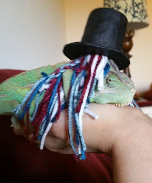 morning picdump 51 pics 5.html - 51 HD Photos | Premium Gallery 2016