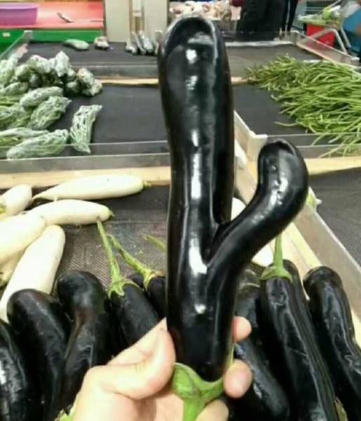 morning picdump 51 pics 5.html - 51 HD Photos | Premium Gallery 2016