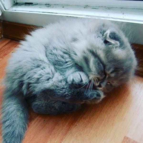 morning picdump 51 pics 5.html - 51 HD Photos | Premium Gallery 2016