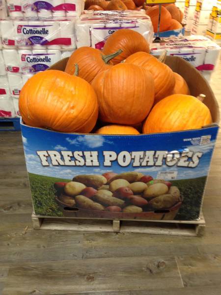 morning picdump 51 pics 5.html - 51 HD Photos | Premium Gallery 2016