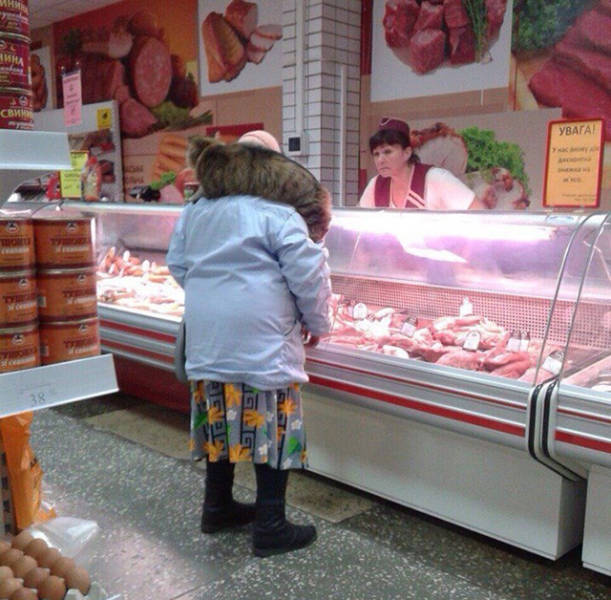 Daily Picdump