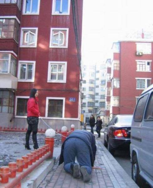 daily picdump 80 pics 11.html - 80 HD Photos | Premium Gallery 2016