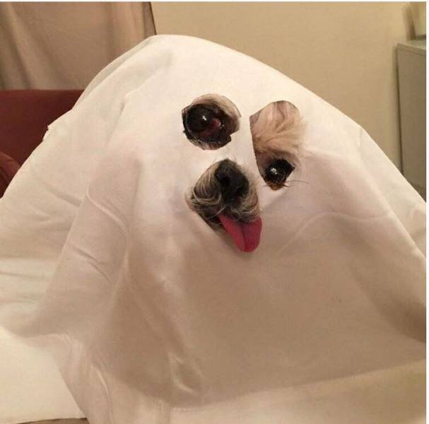 daily picdump 80 pics 11.html - 80 HD Photos | Premium Gallery 2016