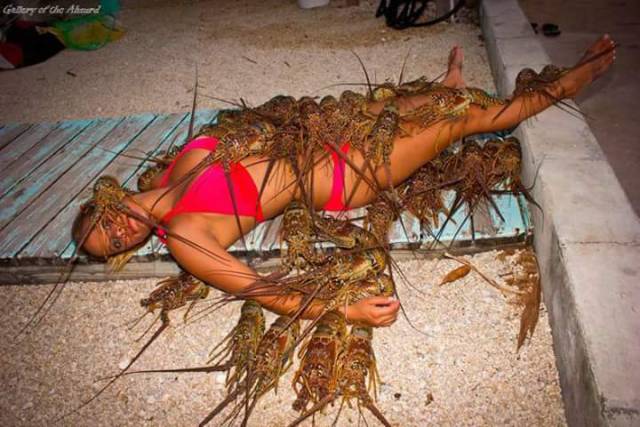 Daily Picdump [WEEKEND EDITION]