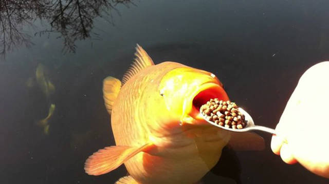 Daily Picdump [WEEKEND EDITION]