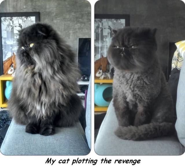 daily picdump 94 pics 22.html - 94 HD Photos | Premium Gallery 2016