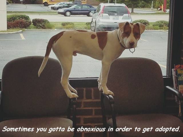 daily picdump 94 pics 22.html - 94 HD Photos | Premium Gallery 2016