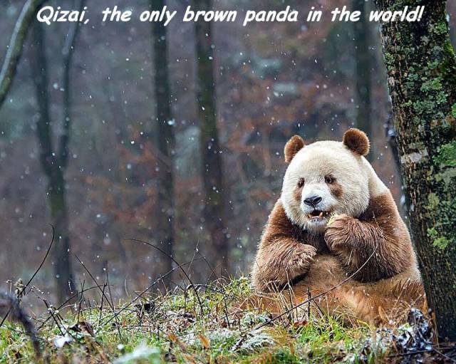 daily picdump 94 pics 22.html - 94 HD Photos | Premium Gallery 2016