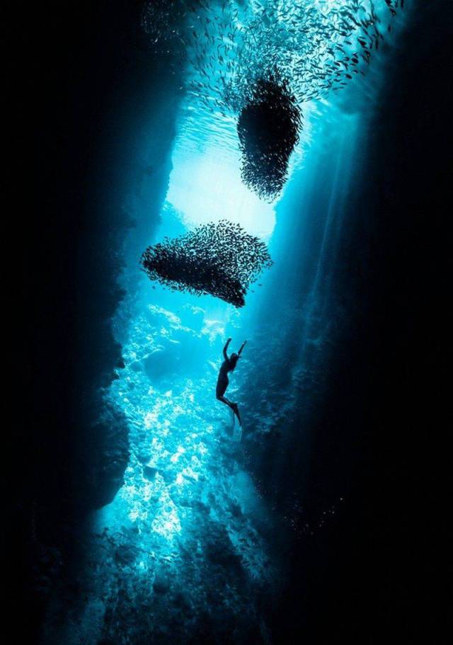 daily picdump 94 pics 22.html - 94 HD Photos | Premium Gallery 2016