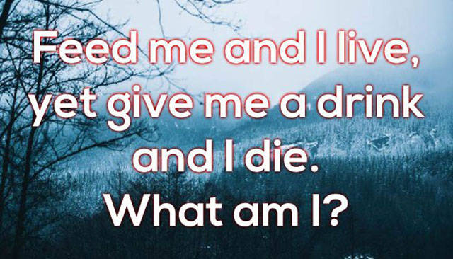 Neat Brainteasers With Their Answers Written On Mouthwatering Pictures