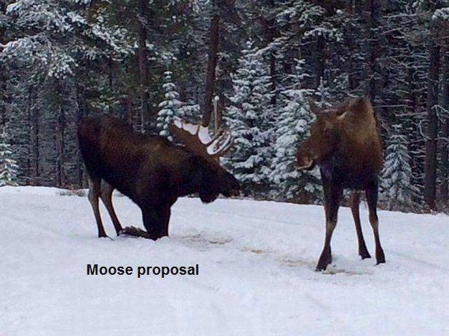 daily picdump 90 pics 13.html - 90 HD Photos | Premium Gallery 2016