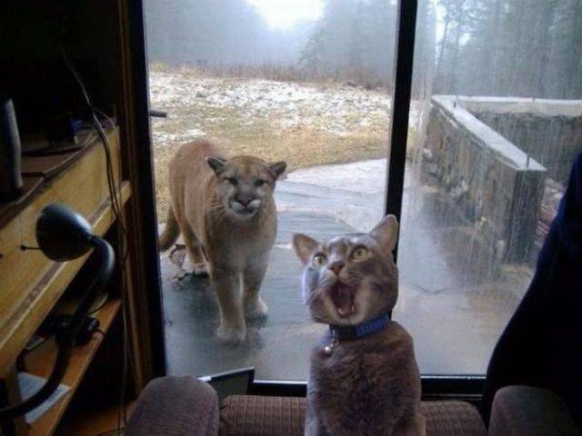 daily picdump 90 pics 13.html - 90 HD Photos | Premium Gallery 2016