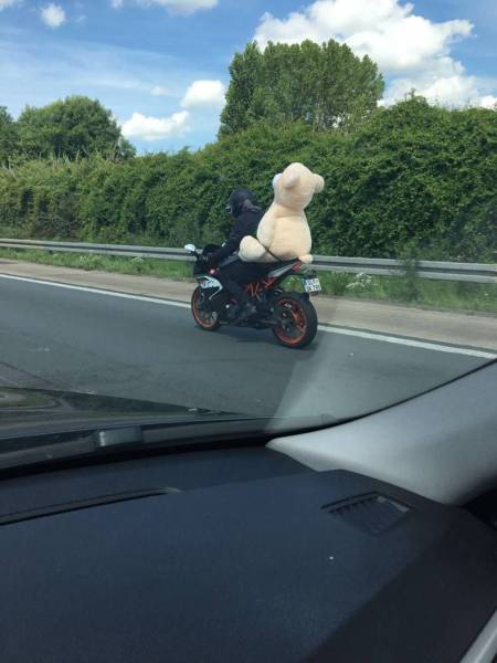 daily picdump 90 pics 13.html - 90 HD Photos | Premium Gallery 2016