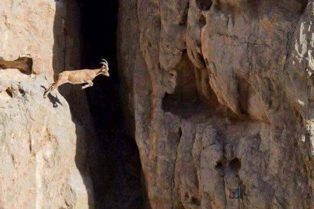 daily picdump 90 pics 13.html - 90 HD Photos | Premium Gallery 2016