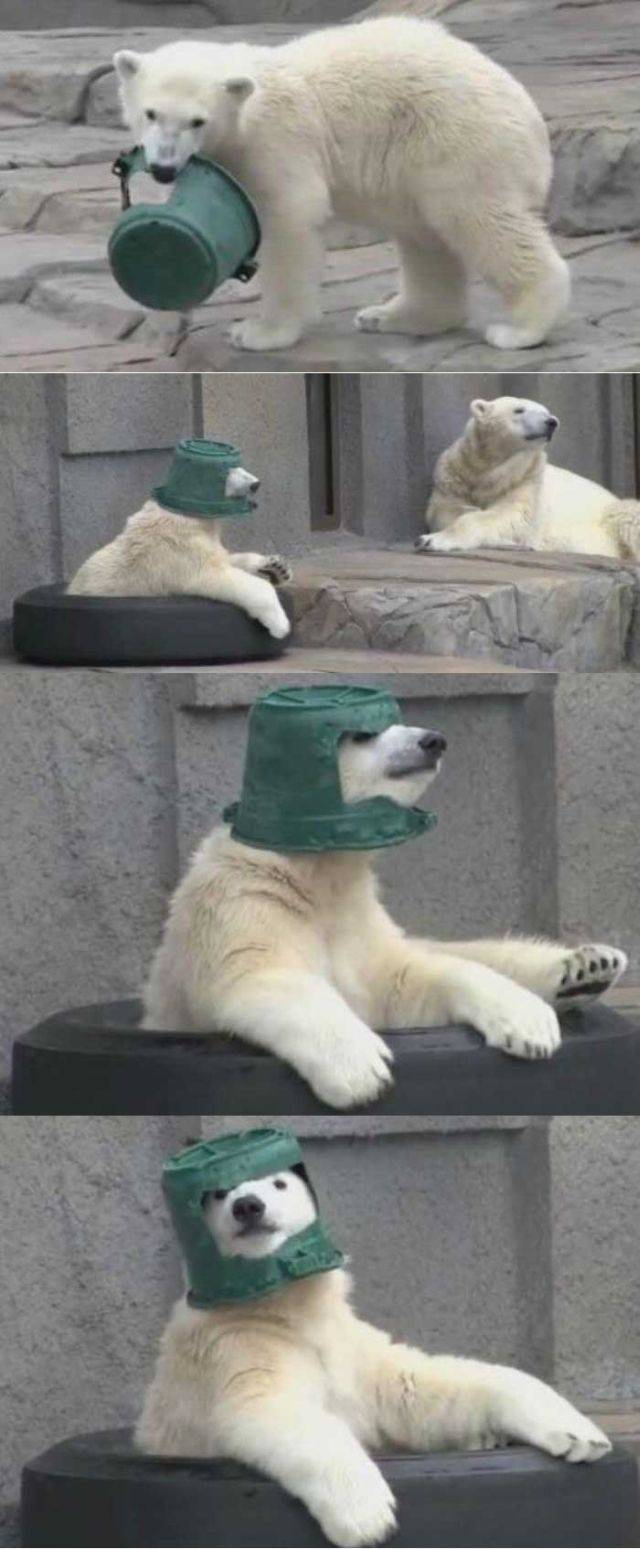 daily picdump 90 pics 13.html - 90 HD Photos | Premium Gallery 2016