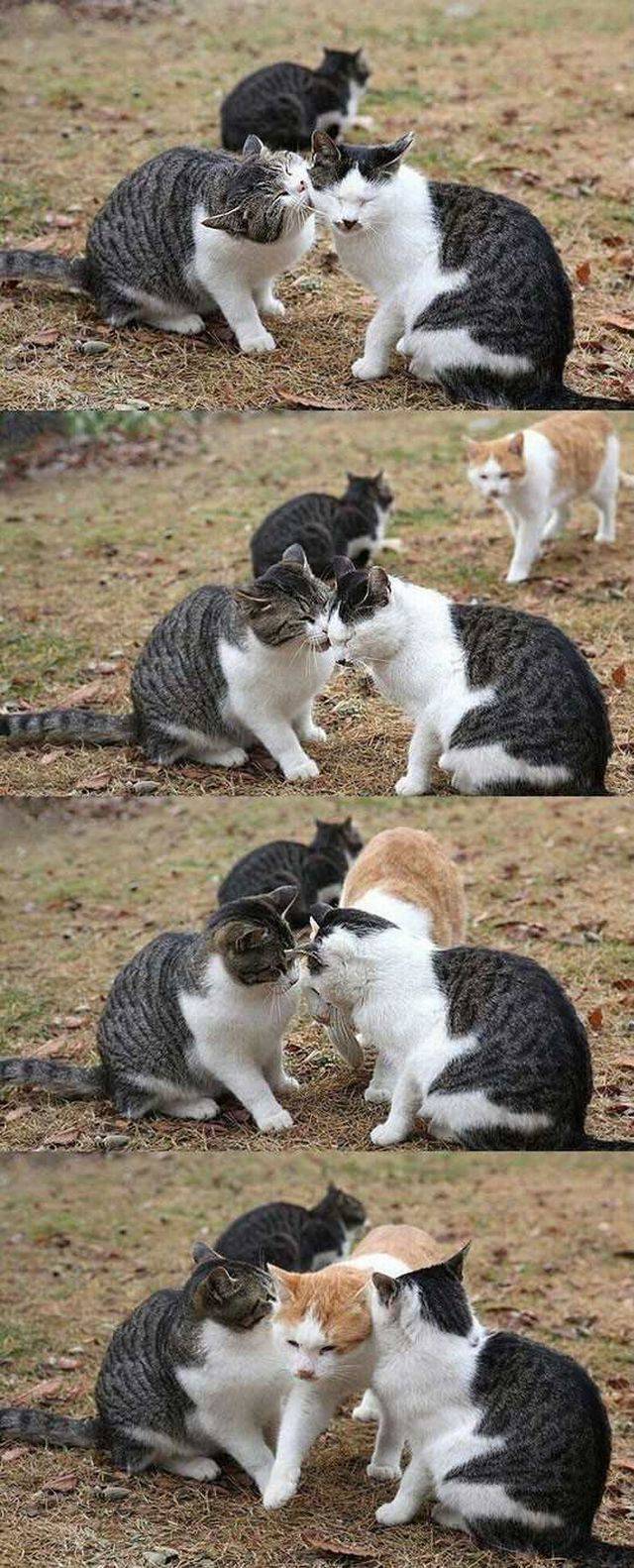 daily picdump 90 pics 13.html - 90 HD Photos | Premium Gallery 2016