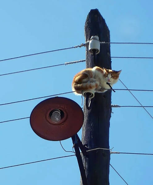 Morning Picdump