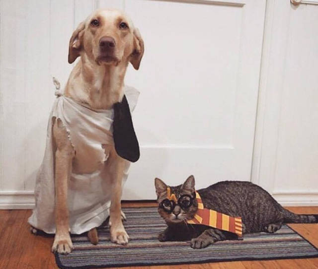 morning picdump 52 pics 3.html - 52 HD Photos | Premium Gallery 2016