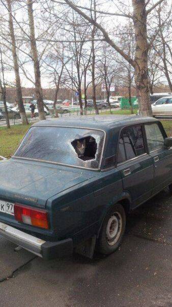 daily picdump 89 pics 36.html - 89 HD Photos | Premium Gallery 2016