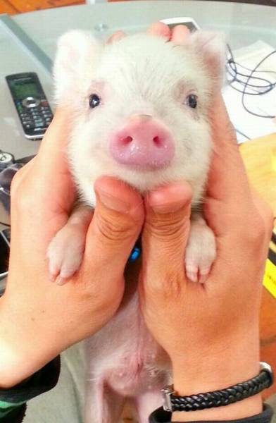 daily picdump 89 pics 36.html - 89 HD Photos | Premium Gallery 2016