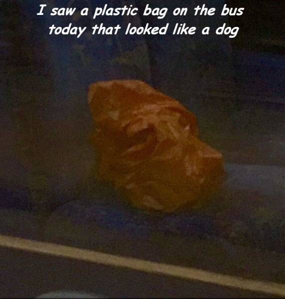 daily picdump 89 pics 36.html - 89 HD Photos | Premium Gallery 2016